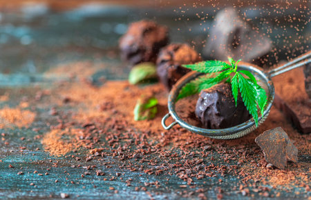 Delicious chocolate truffles with cannabis herb, cocoa powder and dark chocolate on a dark wooden...