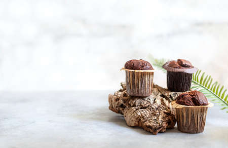Freshly baked chocolate muffins on a light background with tree bark decor. Place for text. Selective focus.の写真素材
