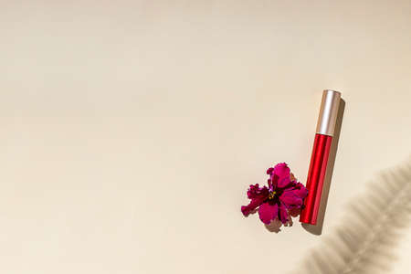 Black mascara and brush on beige background. Hard light. Cosmetics and fashion concept.の写真素材