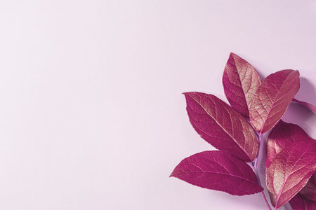 Fresh leaves on a beige background. Copy space.