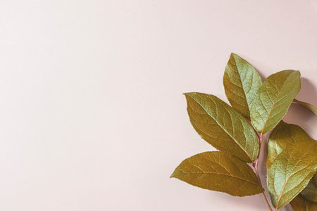 Fresh leaves on a beige background. Copy space.