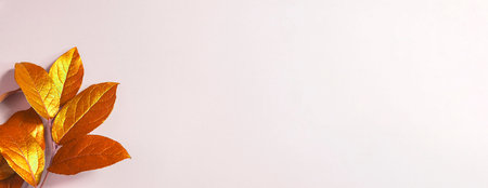 Fresh leaves on a beige background. Banner