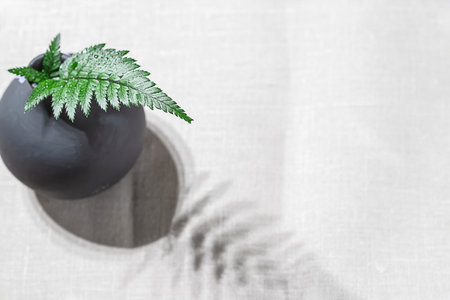 Fern leaf on a background of linen fabric.