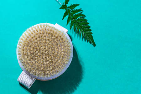 Natural organic wooden body massage brush, towel, fern leaves with natural sunlight. Home Spa Therapy.の写真素材