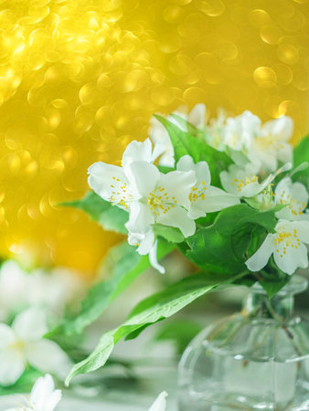 Fresh jasmine flowers in a vase on background bokeh.
