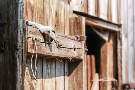 Old wooden barn door with steel hinges.の写真素材