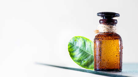 Essential oil for aromatherapy, alternative medicine. Closeup brown glass bottle. Skin care, natural medicine. Selective focusの写真素材