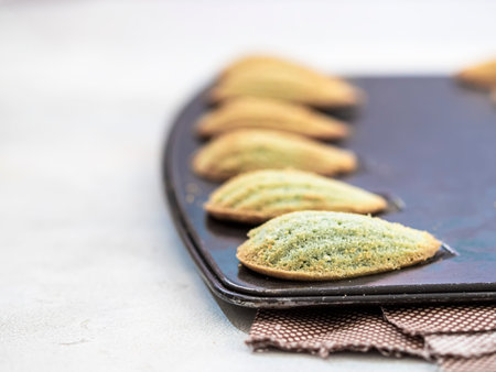 Freshly Baked french madeleine cookies. Homemade traditional French small cookie. Selective focus