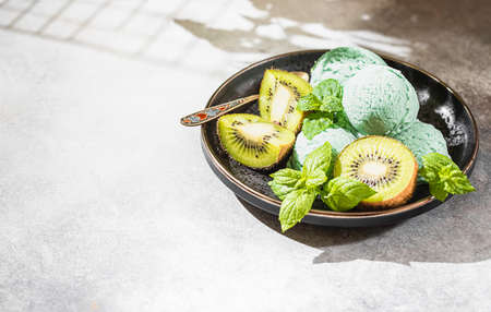 Homemade kiwi popsicles, with mint leaves on a concrete background.の写真素材