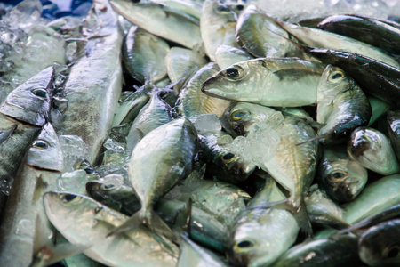 fresh fish in market
