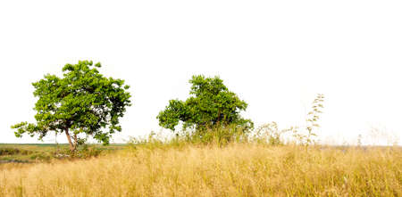 Fields of material isolated on a white background (with path)の写真素材