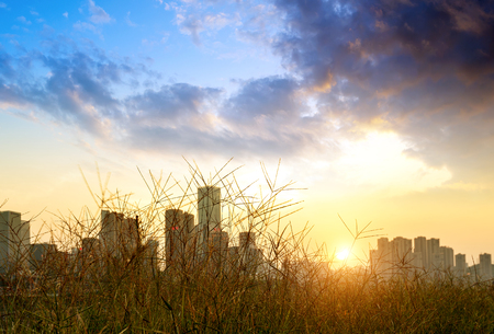 Twilight city tall buildings, China Chongqing city landscape.の写真素材