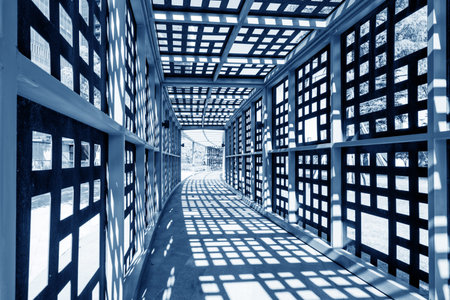 Landscape corridor in the city