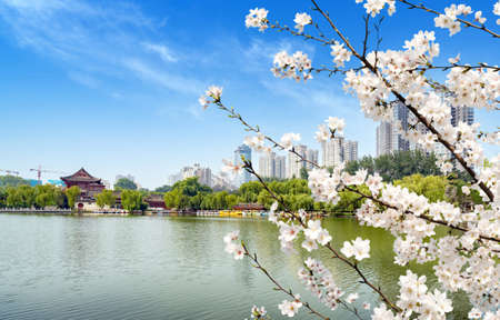 Tall buildings and ancient buildings by the lake, city view of Xi'an, Chinaの写真素材