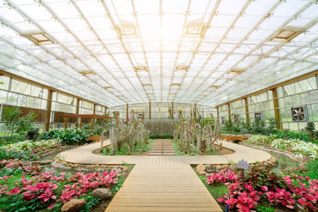 Various plants cultivated in tropical greenhousesの写真素材