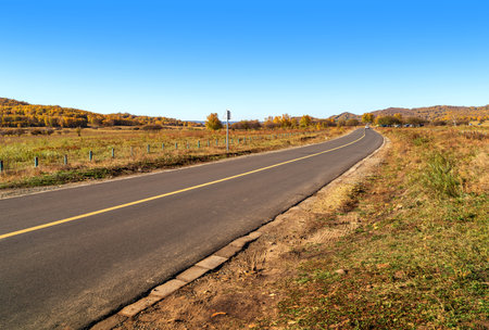 Empty road leading through fall foliage forest in the autumnの写真素材