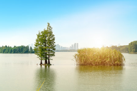 Landscape of Wuhan East Lake of Hubei province.East Lake Scenic Area of Wuhanの写真素材