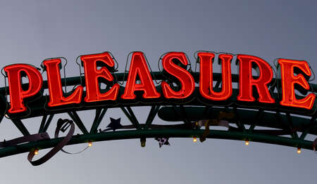 Neon sign pleasureの写真素材