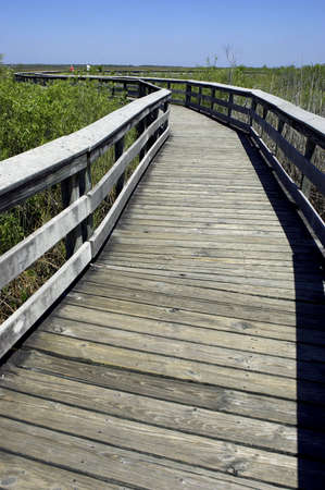 Wooden walkway anhinga trail everglades state national park florida usaの写真素材