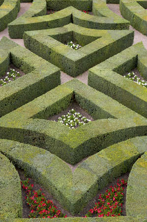 Formal gardens at chateau, de, villandry, loire, valley, franceの写真素材