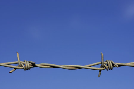 Detail of barbed wire fence against a blue sky with space for textの写真素材