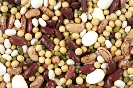 Bean background