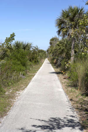 view down a deserted cycle path on sanibel island florida united states usa taken in march 2006の写真素材