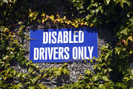 disabled drivers only parking sign tafelberg road table mountain national park cape town western cape province south africa の写真素材