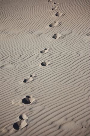 Foot prints in the sandの写真素材