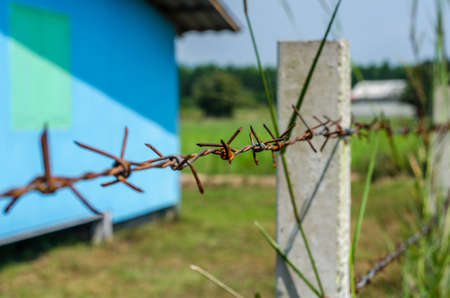 Rusty Barbed wire fence selective focus with blur overgrown grass and blue house background; countrysideの写真素材
