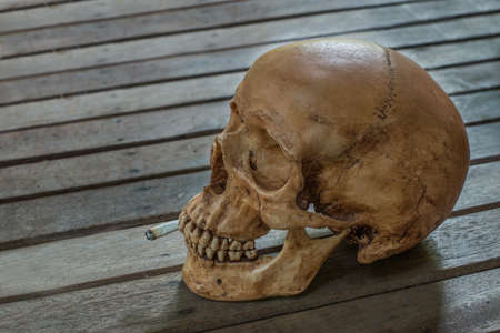 human skull side view with cigarette hold in the mouth on wooden table backgroundの写真素材