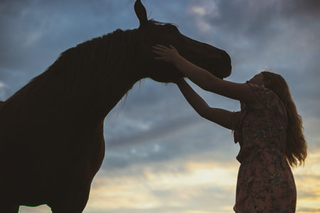 Woman caressing horse scenic photography. Lovable animal. Picture of lady with sunset sky on...