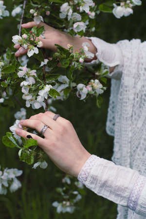 Close up hands on blooming branch concept photo. Springtime blossoming. Side view photography with female hands on background. High quality picture for wallpaper, travel blog, magazine, articleの写真素材
