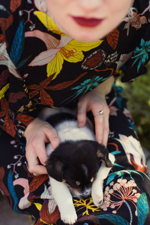 Close up puppy lying on woman knees concept photo. Cutie animal. Top view photography with lady dress on background. High quality picture for wallpaper, travel blog, magazine, articleの写真素材
