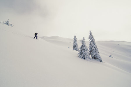 Skier going down ski hill landscape photo. Beautiful nature scenery photography with snowy...
