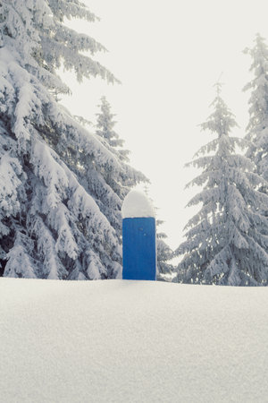 Close up nose of ski appeared above snowpile concept photo. Front view photography with snowy winter landscape on background. High quality picture for wallpaper, travel blog, magazine, articleの写真素材