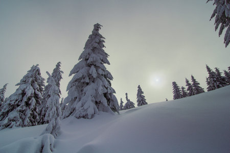 Cloudy weather in mountains landscape photo. Beautiful nature scenery photography with snowy...