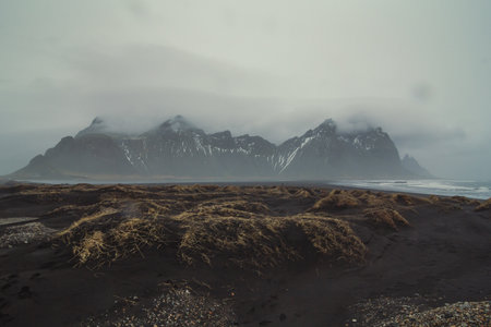 Dry grass on black beach landscape photo. Beautiful nature scenery photography with mountains on background. Idyllic scene. High quality picture for wallpaper, travel blog, magazine, articleの写真素材