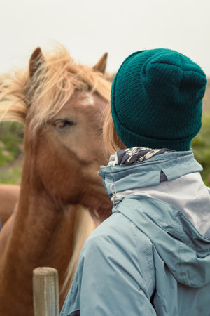 Close up woman with chestnut horse concept photo. Animals care. Rear view photography with farmland on background. High quality picture for wallpaper, travel blog, magazine, articleの写真素材