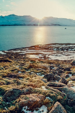 Rock coast of cold sea landscape photo. Beautiful nature scenery photography with snowy mountains on background. Idyllic scene. High quality picture for wallpaper, travel blog, magazine, articleの写真素材