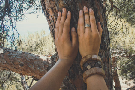 Close up female hands on pine tree trunk concept photo. First view person photography with hill...