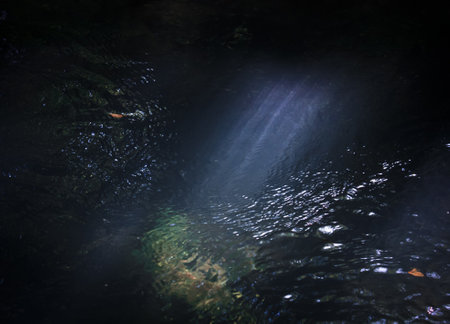 Close up sunbeam falling into running creek concept photo. Clear water. Side view photography with dark rock on background. High quality picture for wallpaper, travel blog, magazine, articleの写真素材