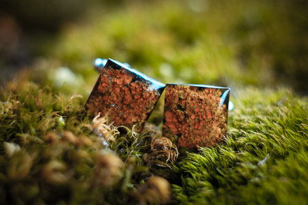 Close up handmade cufflinks with lichen and epoxide resin concept photo. Front view photography with moss on background. High quality picture for wallpaper, travel blog, magazine, articleの写真素材