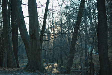 River in gloomy forest landscape photo. Smoke from fire Beautiful nature scenery photography with...