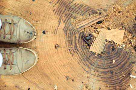Close up dirty sneakers standing on cross section of tree trunk concept photo. First person view photography with blurred background. High quality picture for wallpaper, travel blog, magazine, articleの写真素材