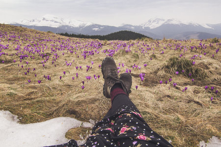 Close up female crossed legs on crocus flowers hill concept photo. First person view photography...