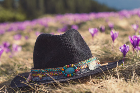 Close up knit fedora hat on early flowers grass meadow concept photo. Front view photography with blurred background. Natural light. High quality picture for wallpaper, travel blog, magazine, articleの写真素材