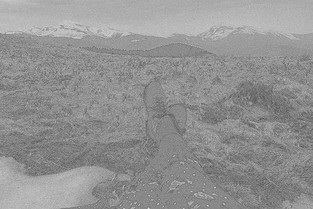Female crossed legs on crocus flowers hill engraving hand drawn sketch. Black and white pencil artwork with granular texture. Photo-realistic drawing style. Creative detailed graphic illustrationの写真素材
