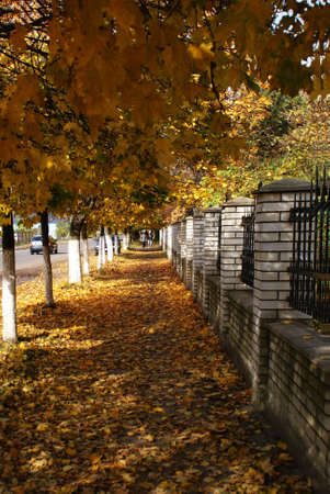 autumn landscape of the cityの写真素材