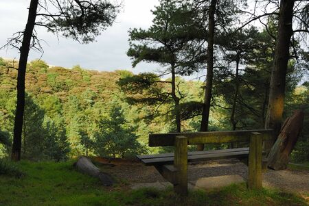Bench that is placed to take in the great view of a tree covered valley.の写真素材